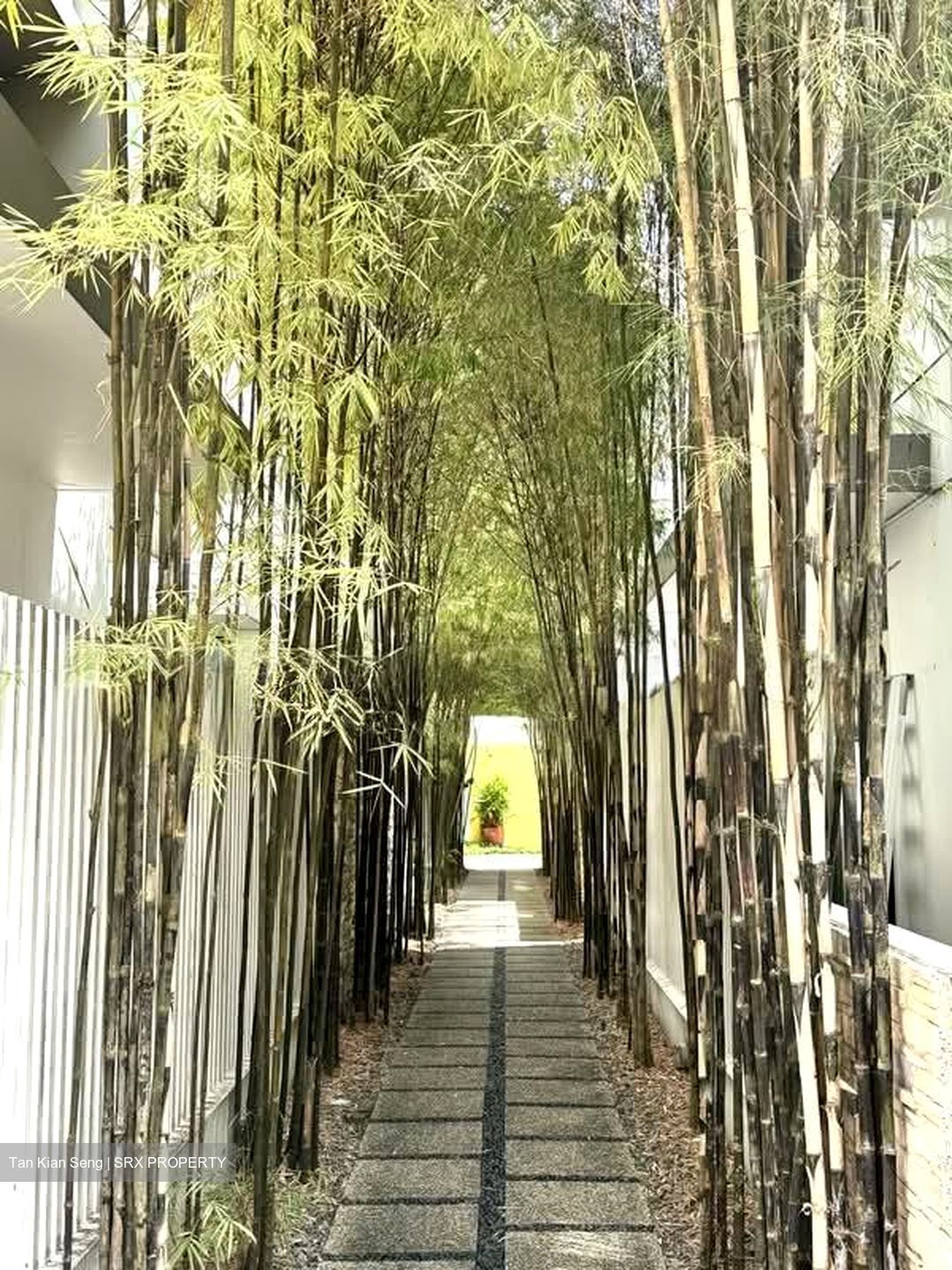 The Shaughnessy (D27), Terrace #596519021
